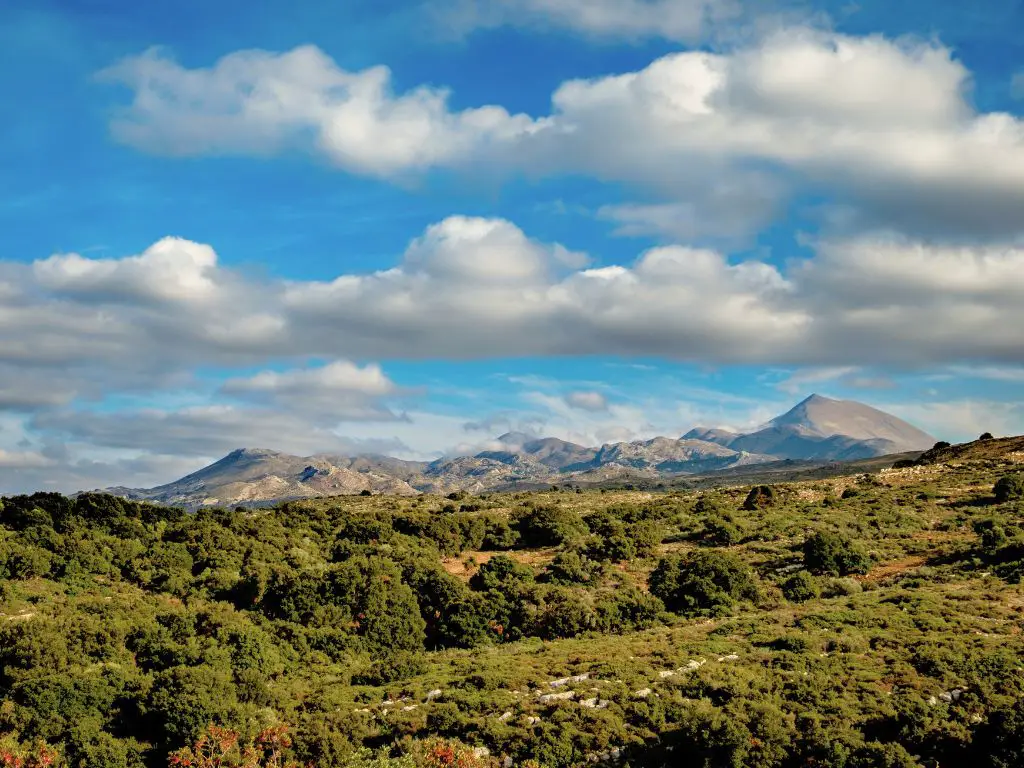 mountain psiloritis crete